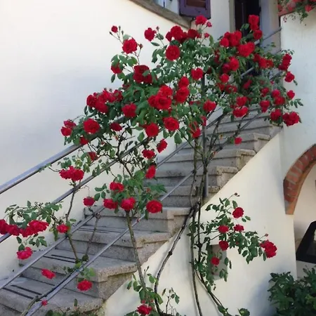 Casa Delle Rose Bed & Breakfast