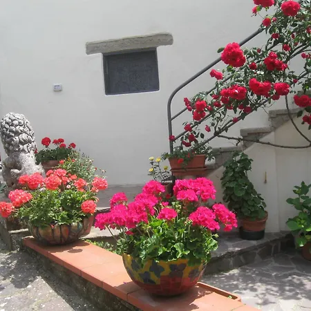 Casa Delle Rose Bed & Breakfast *